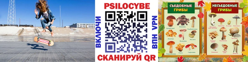 Галлюциногенные грибы мухоморы  Тюкалинск 